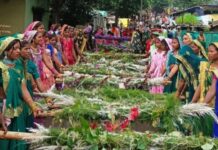 कोरकू बांधवांचा आत्मानंदी लोकोत्सव : डोलार