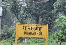 पाच बोगदे, धुक्यातले डोंगर आणि हरवून टाकणारं धाराखोह